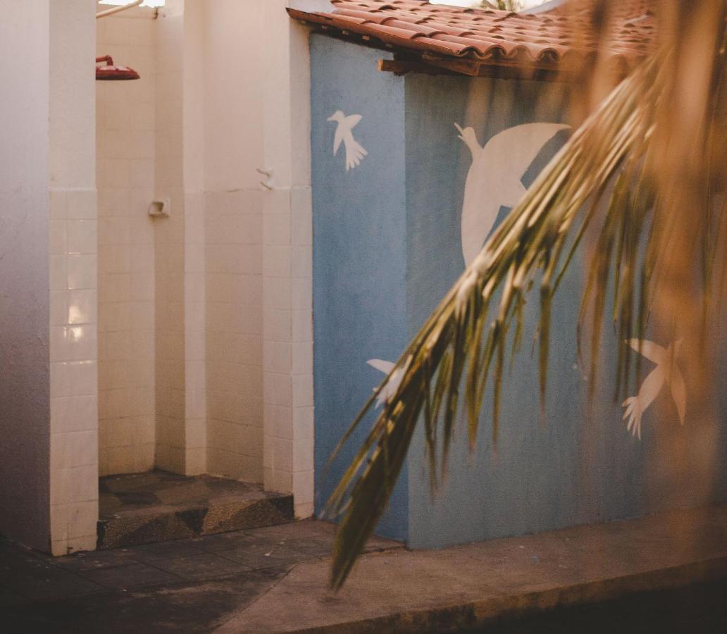 4 Quartos Ao Lado Da Praia Do Patacho Pôrto de Pedras エクステリア 写真